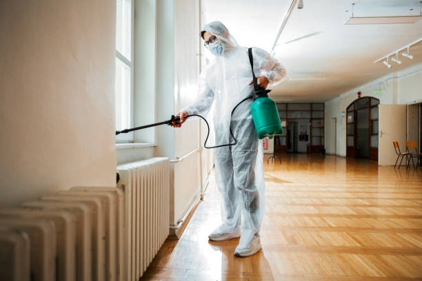 Best Flea Control Services  in Whitesboro, AL