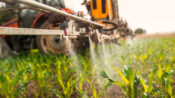 Best Pest Control Cost  in Whitesboro, AL